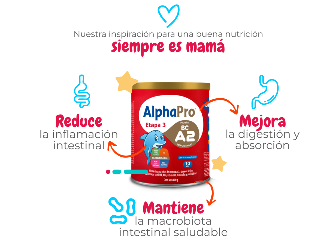 Porque_Alpha_pro-img-01