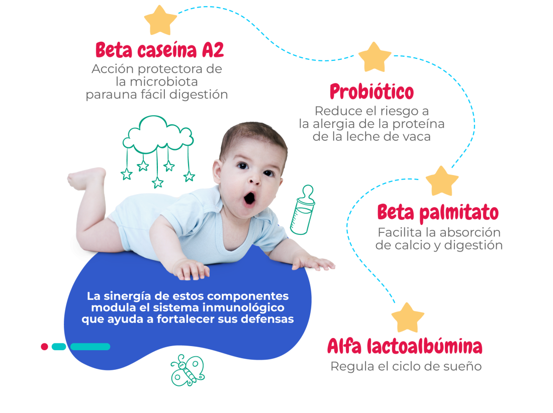 Porque_Alpha_pro-img-02